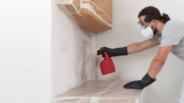 Professional Bathroom Mold Removal technician working in Kenmore, NY
